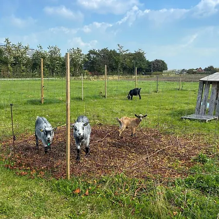 Σπίτι διακοπών 2 Bedroom Awesome In