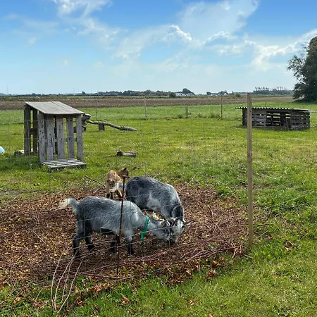 2 Bedroom Awesome In Højer